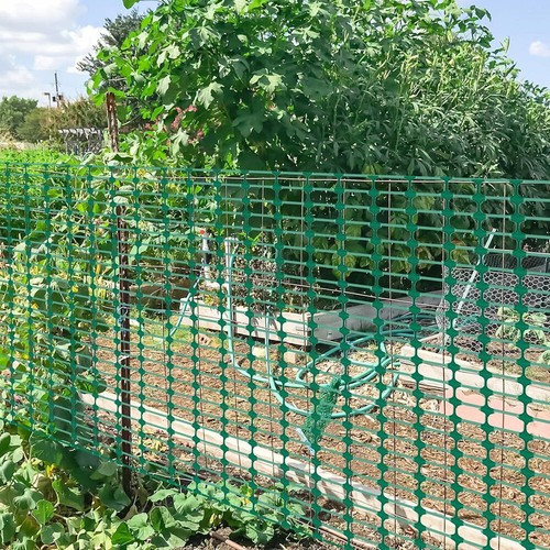 Green pvc coated chicken - pvc,