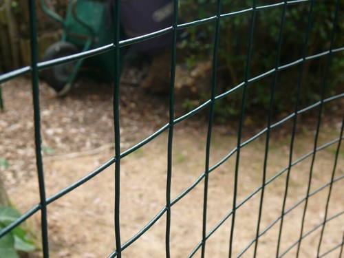 Galvanised welded wire - wire, mesh