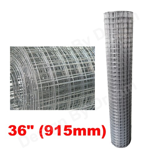 Chicken rabbit wire - rabbit,