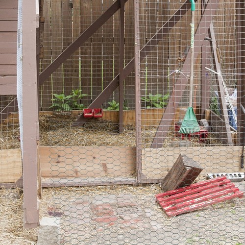 Home use green chicken wire - home,
