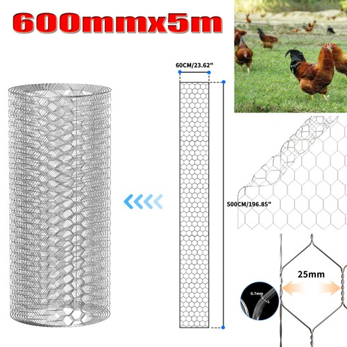 Green pvc coated - coated, chicken